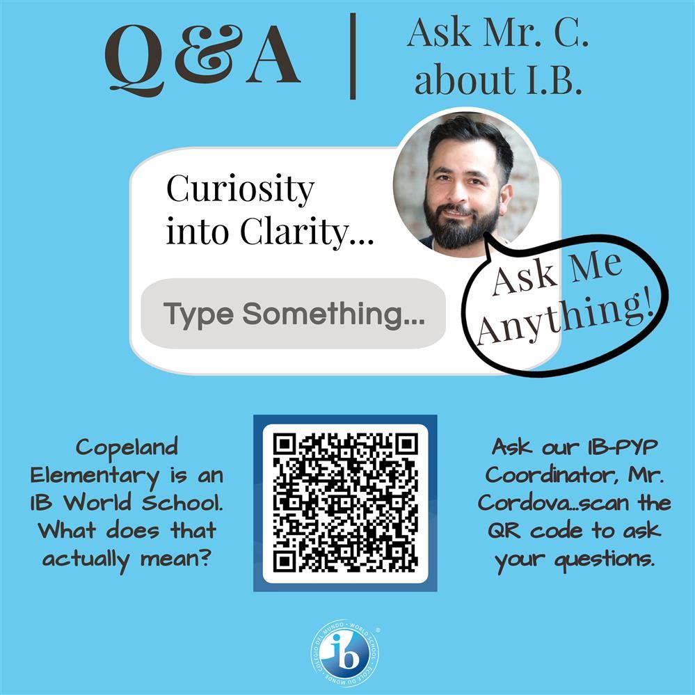 IB Questions